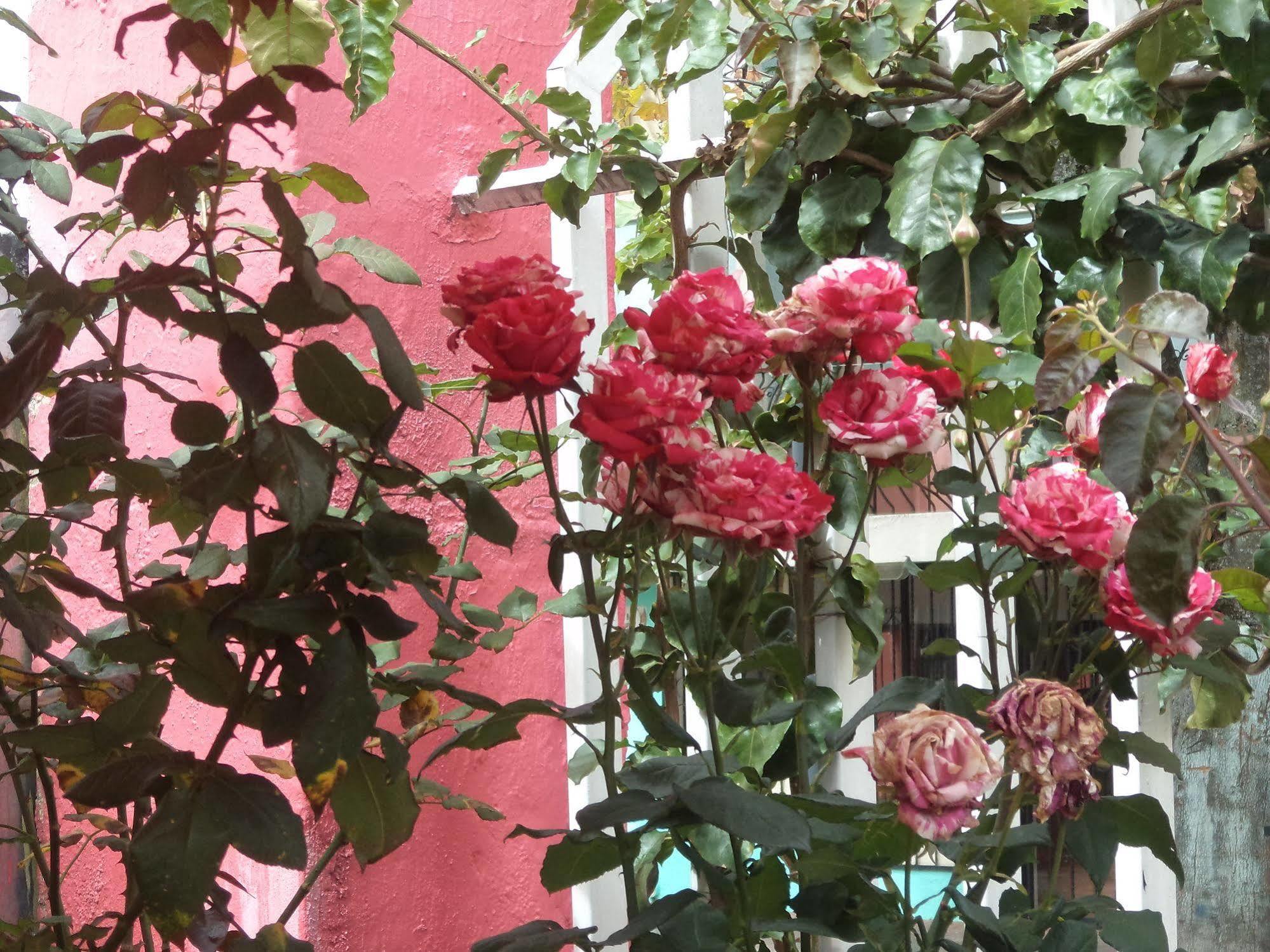 Hostal Imperial Quito Luaran gambar